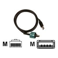 Zebra USB to RJ-45 Cable - USB-Kabel - USB Typ A, 4-polig (M) - RJ-45 (M) - 1,8m - für Zebra RW 220, RW 420 (AK18666-2)