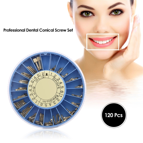 120Pcs/ Box Dental Conical Screw Set Stainless Steel Posts Kit Dental Refill Files Dental Tool