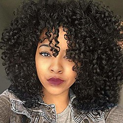 Black Wigs For Women Curly Wigs For Black Women - Afro Curly Wig with Bangs Natural Black Hair Synthetic Heat Resistant Lightinthebox