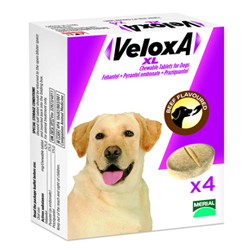 Veloxa Xl Chewable Tablets For Large Dogs Up To 35 Kg 2 Tablet