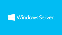 Microsoft Windows Server 2019 Standard - Lizenz