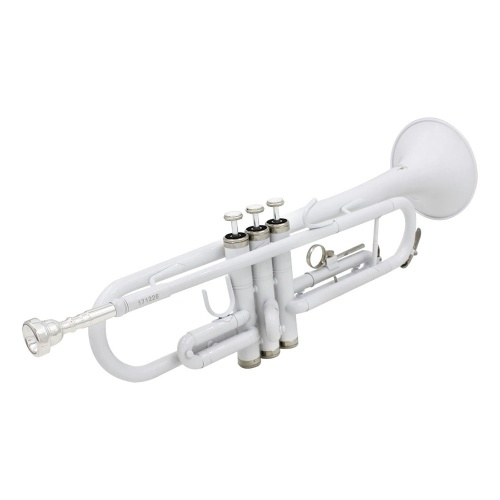 Brass Trumpet Bb B Flat