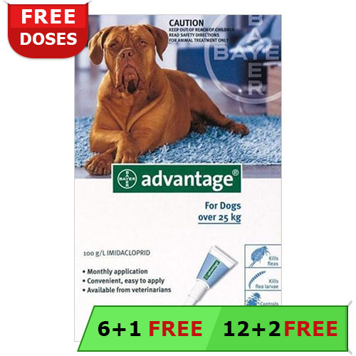 Advantage Extra Large Dogs Over 55 Lbs (Blue) 4 Doses