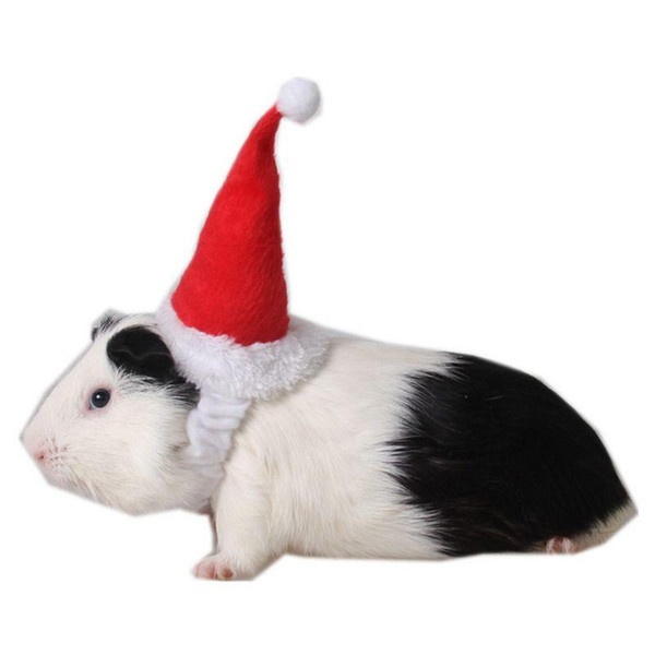 Small Animals Pet Santa Claus Hat Hamster Rats Christmas Cap B0KB