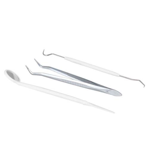 3pcs Stainless Steel Dental Tools Kit Double Head Dental Tool Teeth Scraper Dental Probe Set for Personal & Professional Use