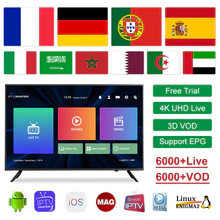 IPTV France Belgium Germany Italy IPTV Subscription for Android Smart tv M3u Spanish Portugal Sweden Arabic French IP TV