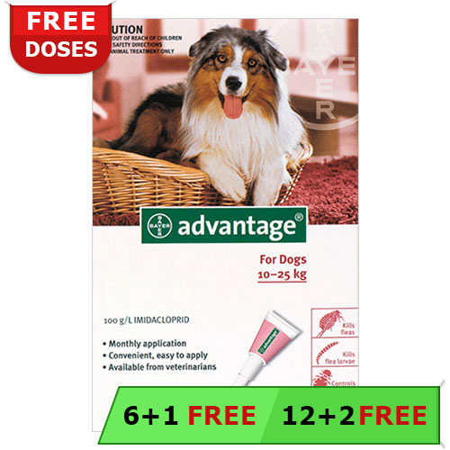 Advantage Large Dogs 21-55lbs (Red) 6 + 1 Free