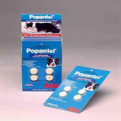 Popantel Allwormer For Dogs 10 Kgs (22 Lbs) 4 Tablet