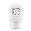 [SecretKey] nieve mancha blanca 65g gel