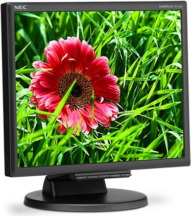 NEC MultiSync E171M - LED-Monitor - 43,27 cm (17