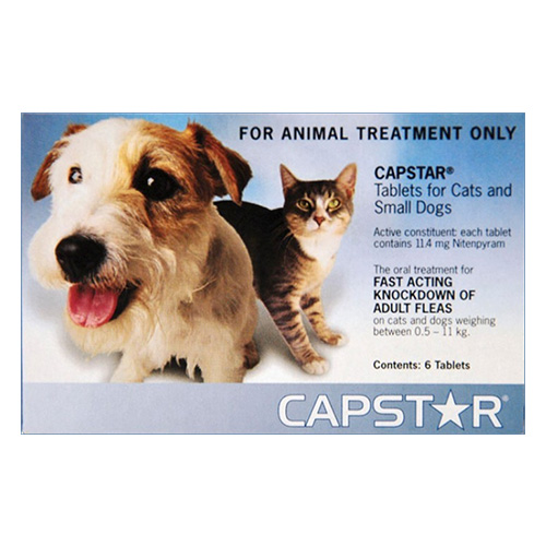 Capstar Cat & Small Dog 11mg 2-25 Lbs Blue 12 Tablet