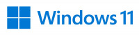 Microsoft Windows 11 Pro for Workstations - Lizenz - 1 Lizenz